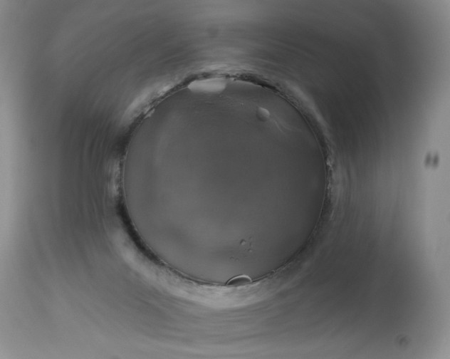 X0000113570023200910021639