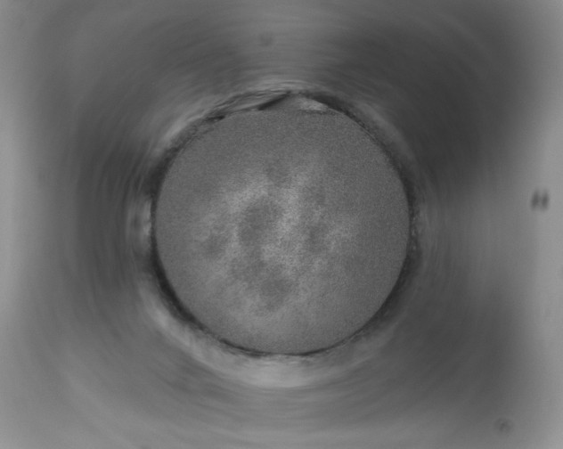 X0000113570024200910021639