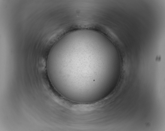 X0000113570025200910021639