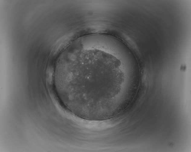 X0000113570026200910021639