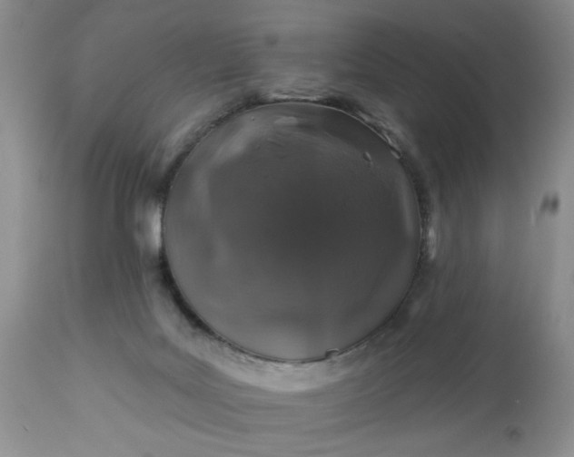 X0000113570027200910021639