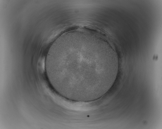 X0000113570028200910021639