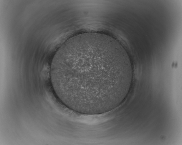 X0000113570029200910021639