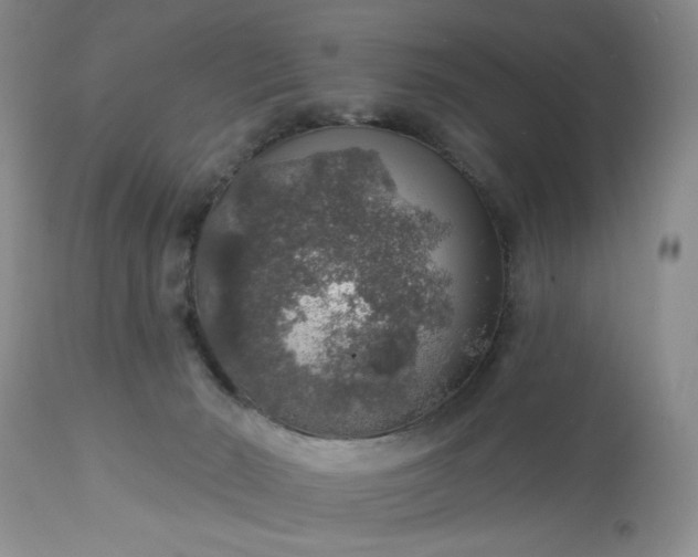 X0000113570030200910021639