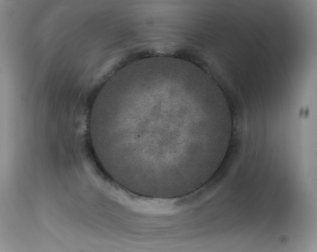 X0000113570032200910021639