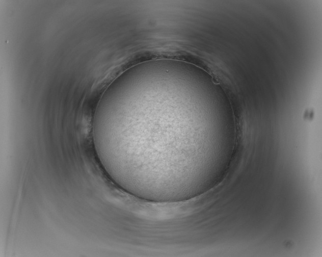 X0000113570033200910021639