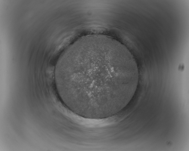 X0000113570034200910021639