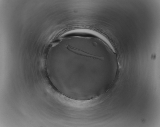 X0000113570035200910021639