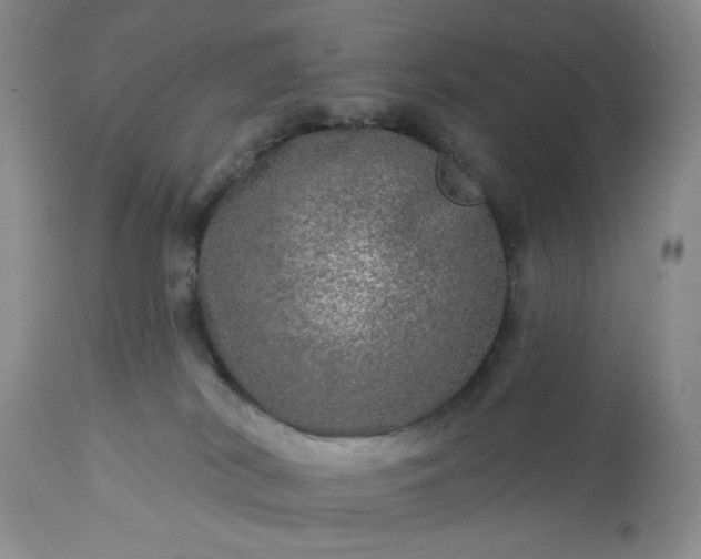 X0000113570038200910021639