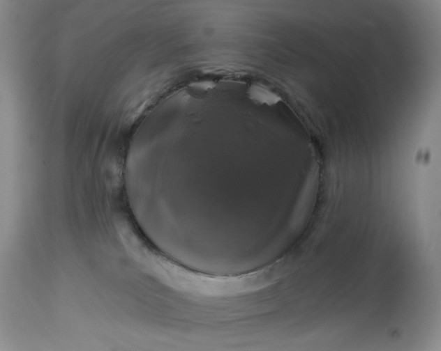 X0000113570039200910021639