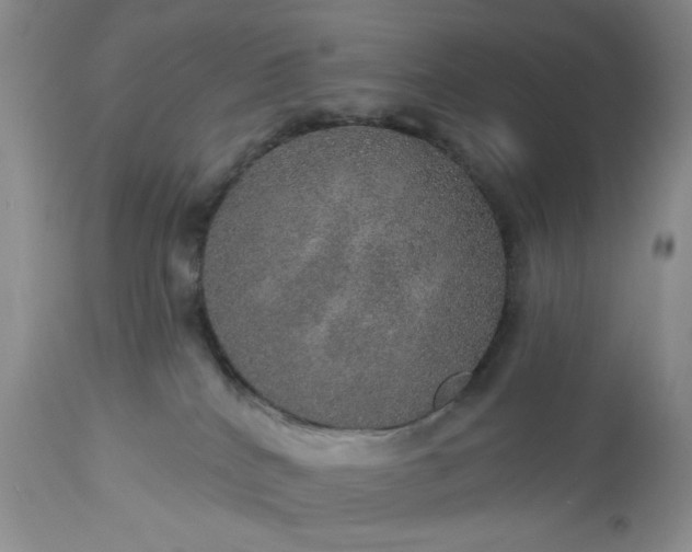 X0000113570040200910021639