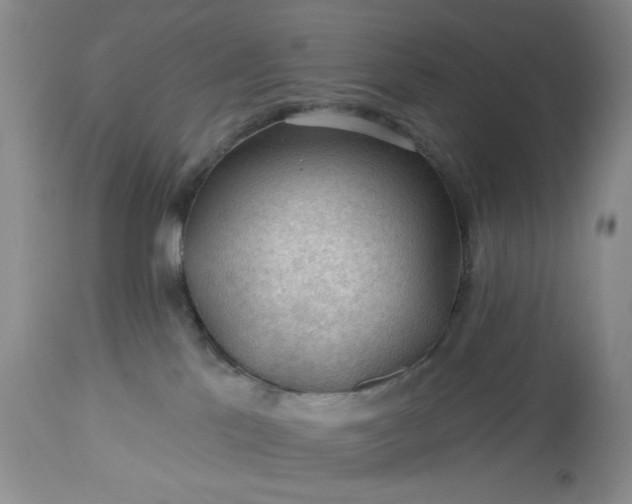 X0000113570041200910021639