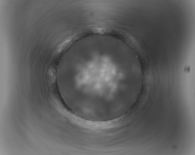 X0000113570043200910021639