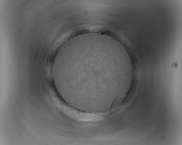 X0000113570044200910021639