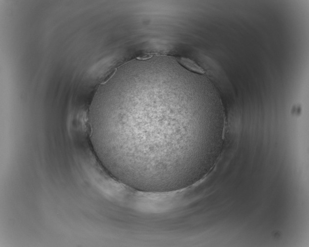 X0000113570045200910021639