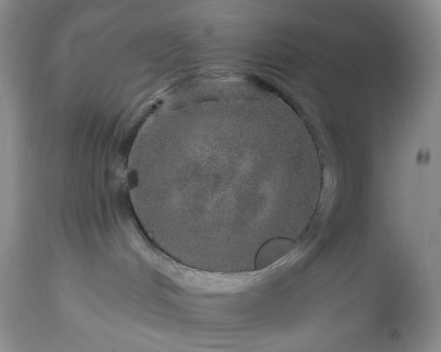 X0000113570048200910021639