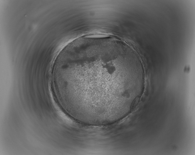 X0000113570049200910021638