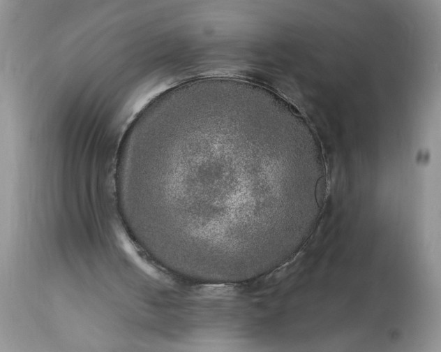 X0000113570050200910021639