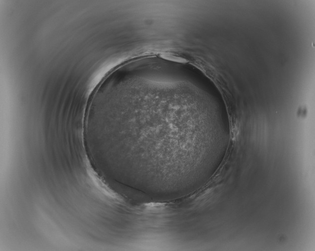 X0000113570052200910021639