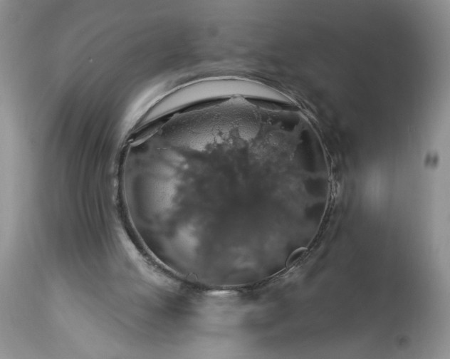 X0000113570053200910021639