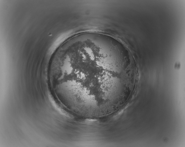 X0000113570055200910021639