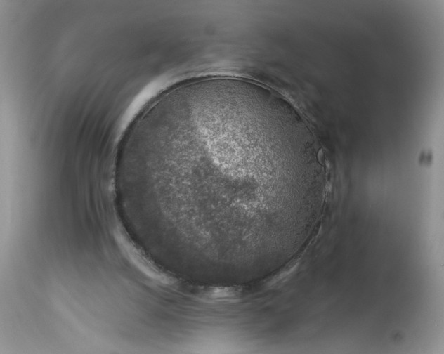 X0000113570056200910021639