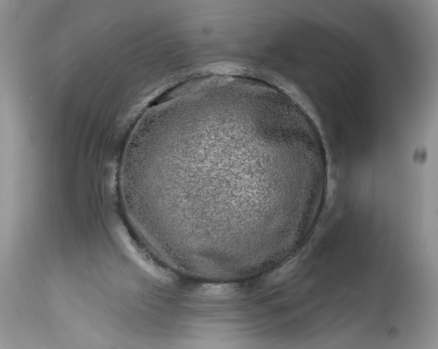 X0000113570057200910021639