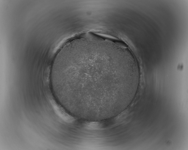 X0000113570058200910021639