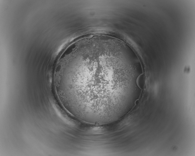 X0000113570059200910021639