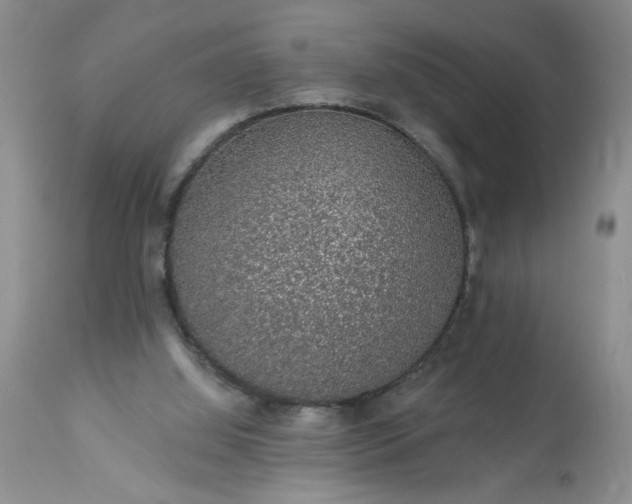 X0000113570060200910021639