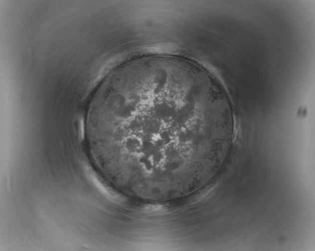 X0000113570061200910021639