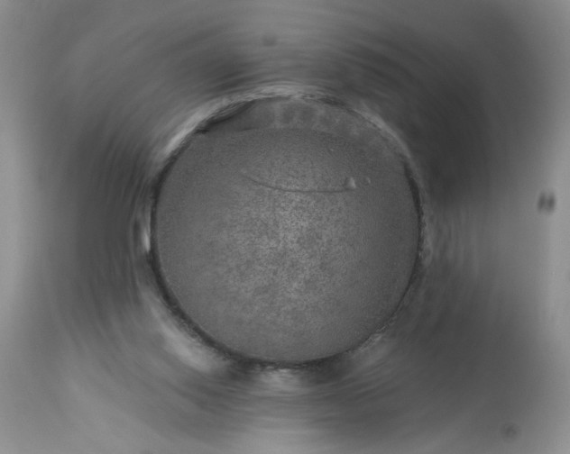 X0000113570062200910021639