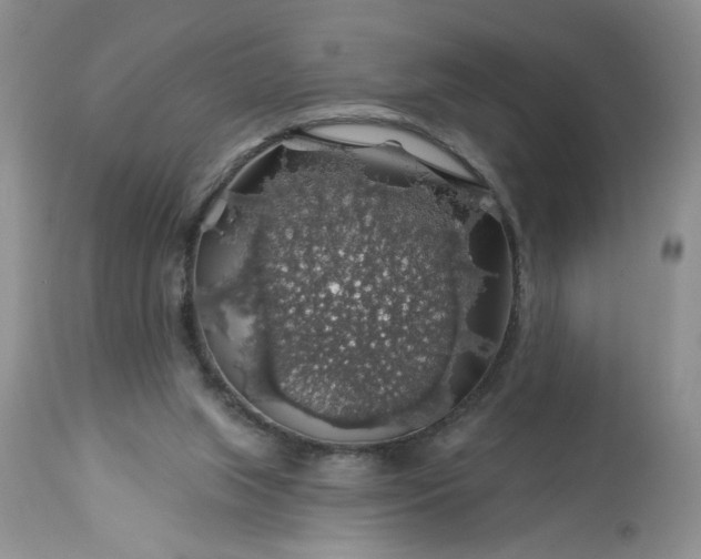 X0000113570063200910021639