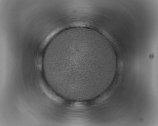 X0000113570064200910021639