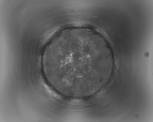 X0000113570066200910021639