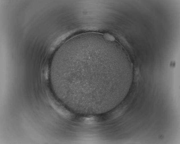 X0000113570068200910021639