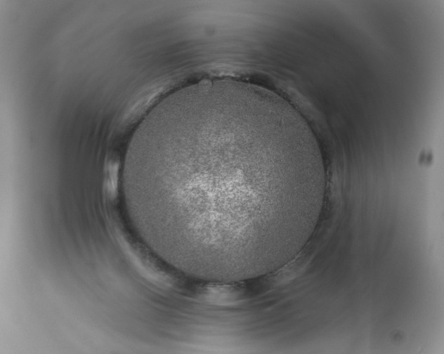 X0000113570070200910021639