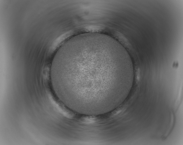 X0000113570071200910021639