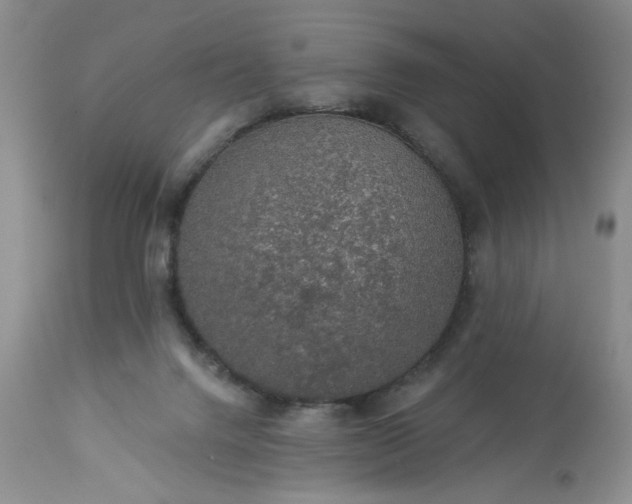 X0000113570072200910021639