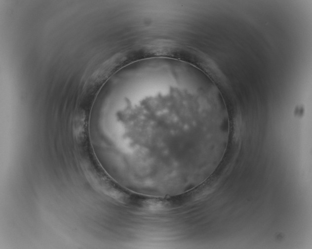 X0000113570073200910021639