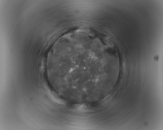 X0000113570074200910021639