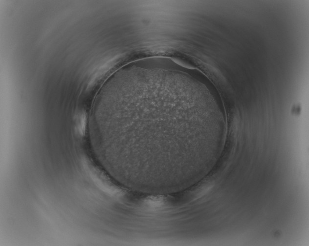 X0000113570076200910021639