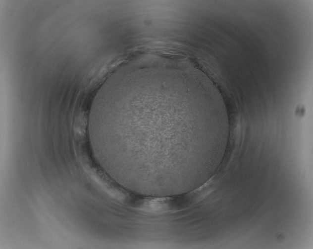 X0000113570078200910021639