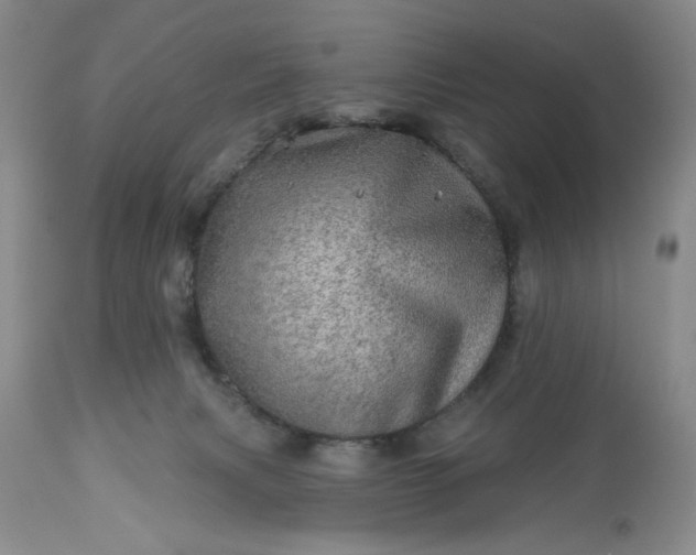 X0000113570079200910021639