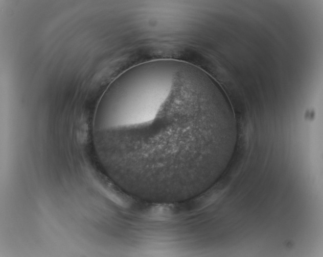 X0000113570080200910021639