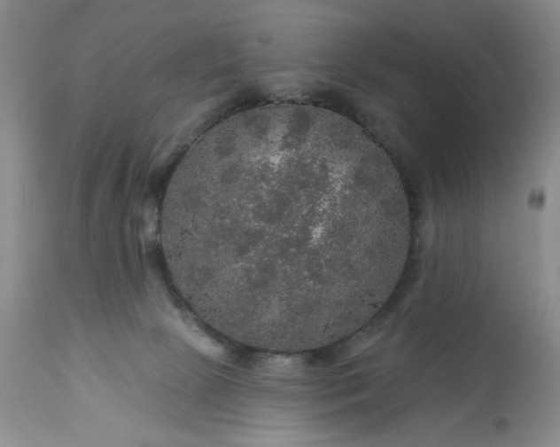 X0000113570081200910021639