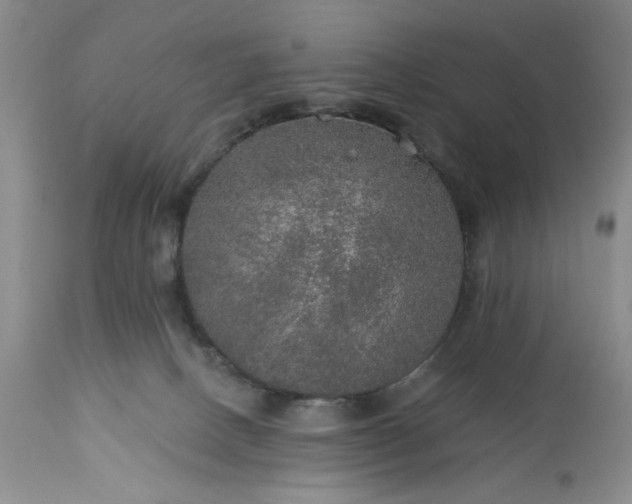 X0000113570082200910021639