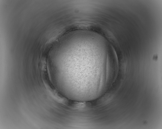 X0000113570083200910021639