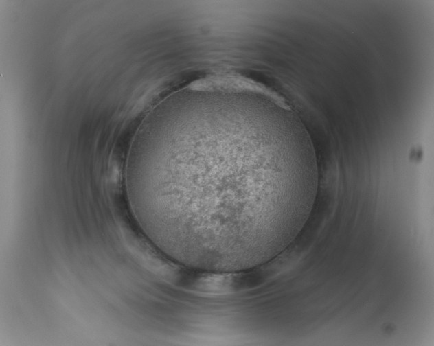 X0000113570084200910021639