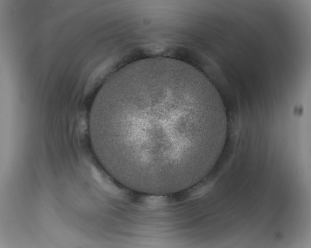 X0000113570085200910021639